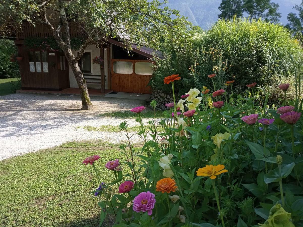 Holiday House Zeleni Gaj Bovec Exterior photo